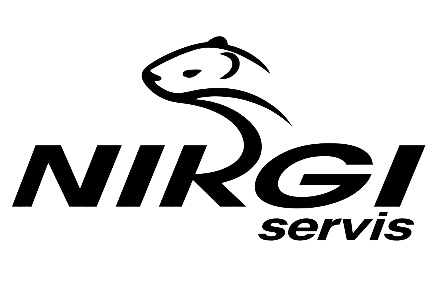 NirgiServis